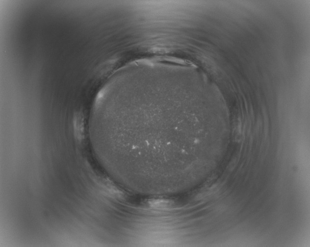 X0000068890268200605192143