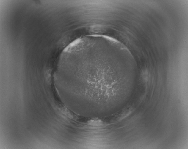 X0000068890271200605192143