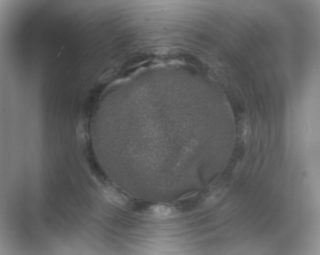 X0000068890272200605192143