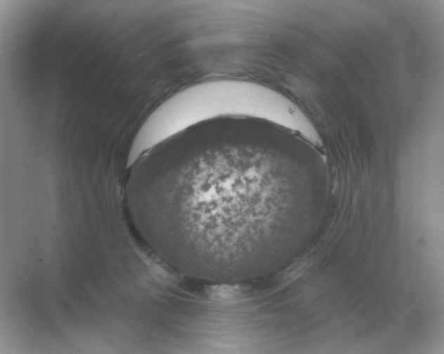 X0000068890273200605192143