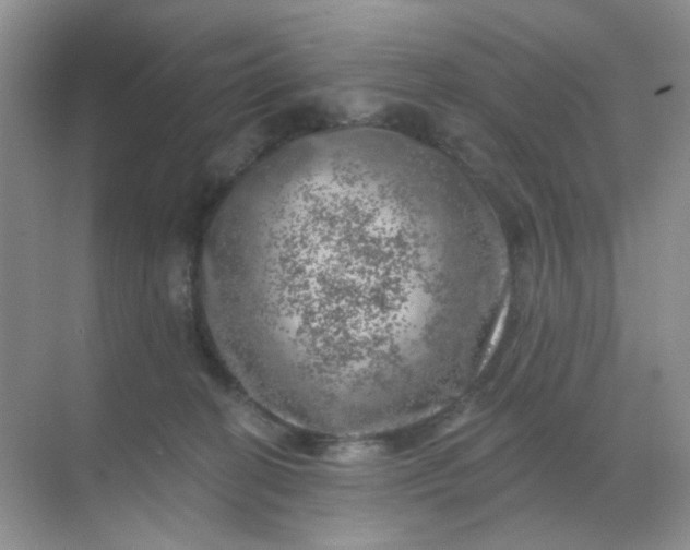 X0000068890274200605192143