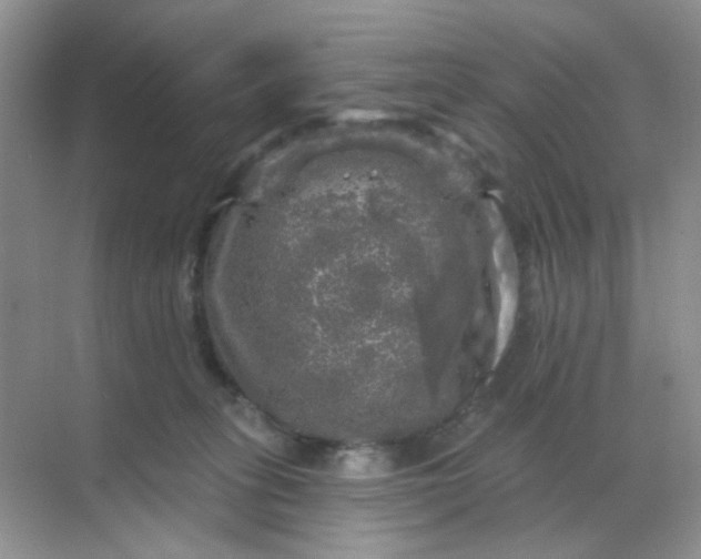 X0000068890275200605192143