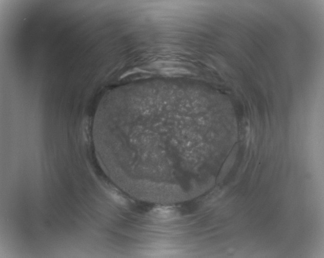 X0000068890280200605192143