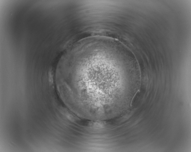 X0000068890282200605192143