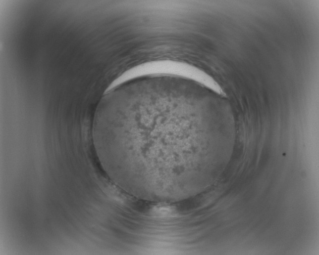 X0000068890283200605192143