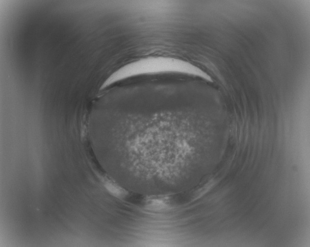 X0000068890285200605192143