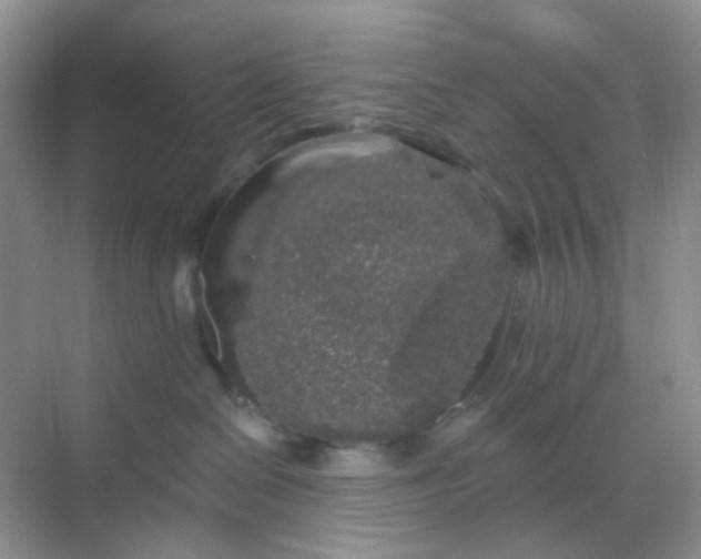 X0000068890286200605192143