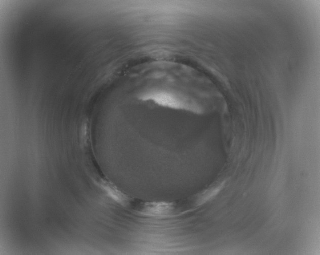 X0000068890288200605192143