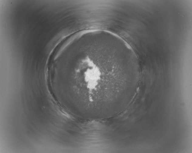 X0000068890290200605192142