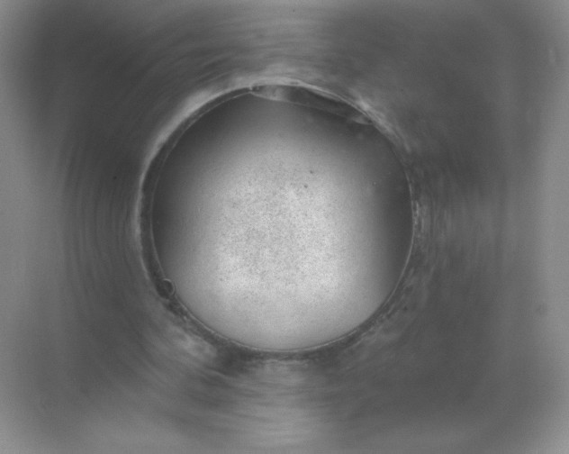 X0000068890292200605192142