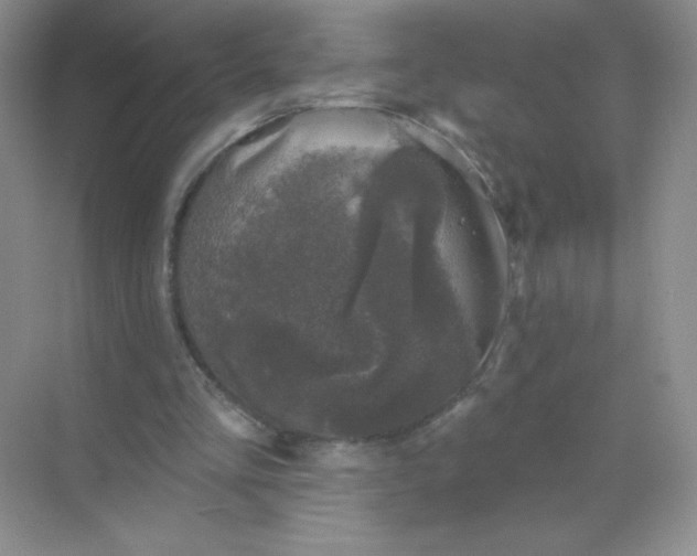 X0000068890293200605192142