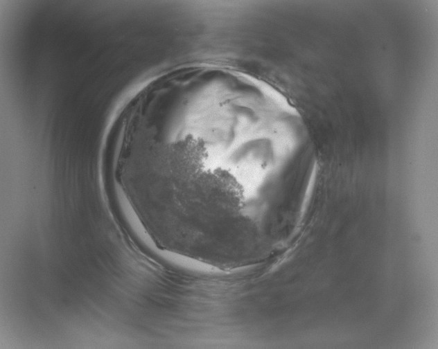 X0000068890294200605192142