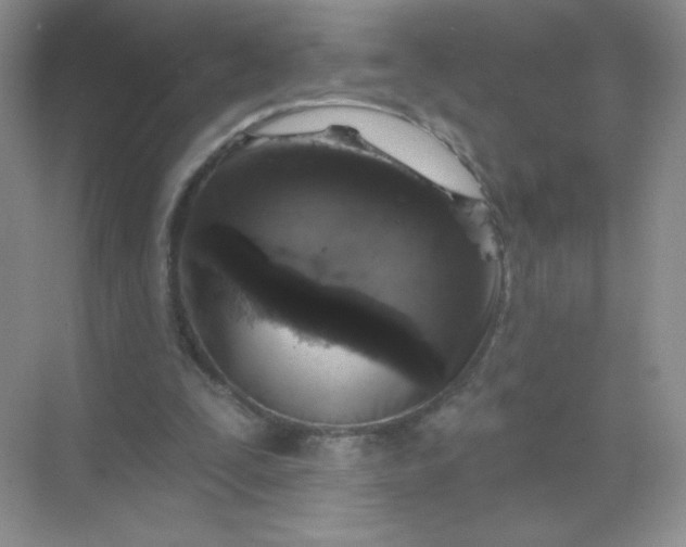 X0000068890295200605192142