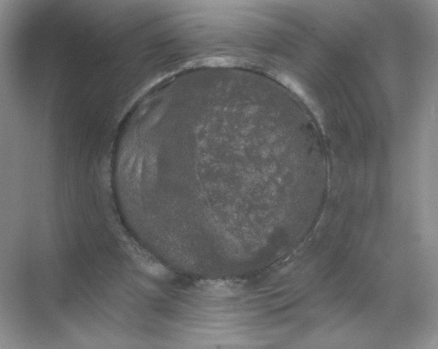 X0000068890297200605192142