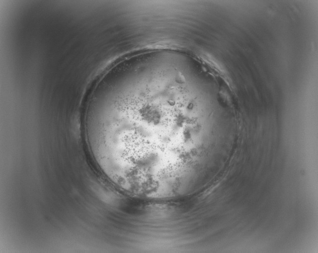 X0000068890298200605192142