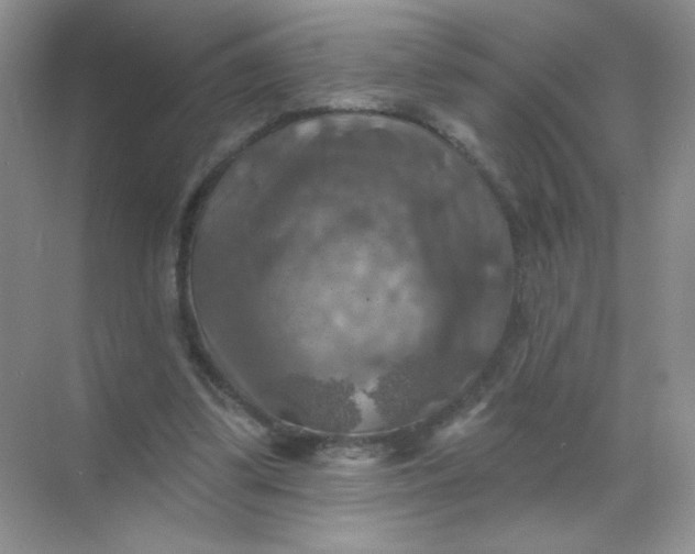 X0000068890299200605192142