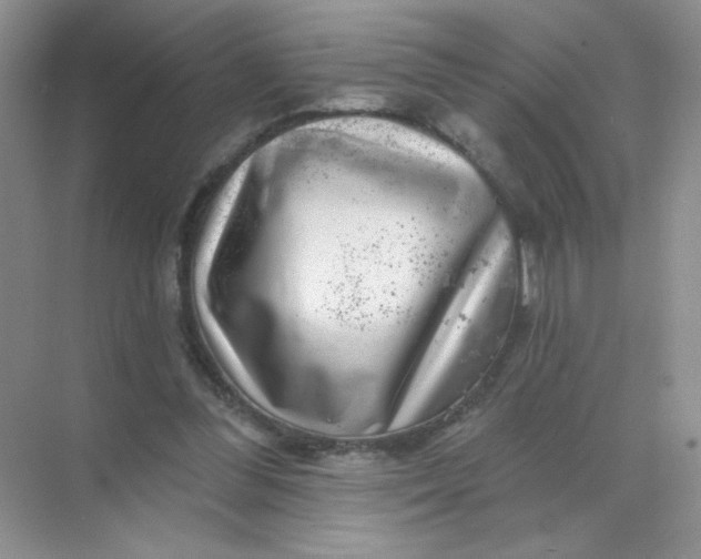 X0000068890300200605192142