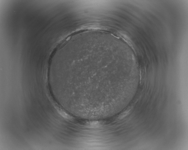 X0000068890301200605192142