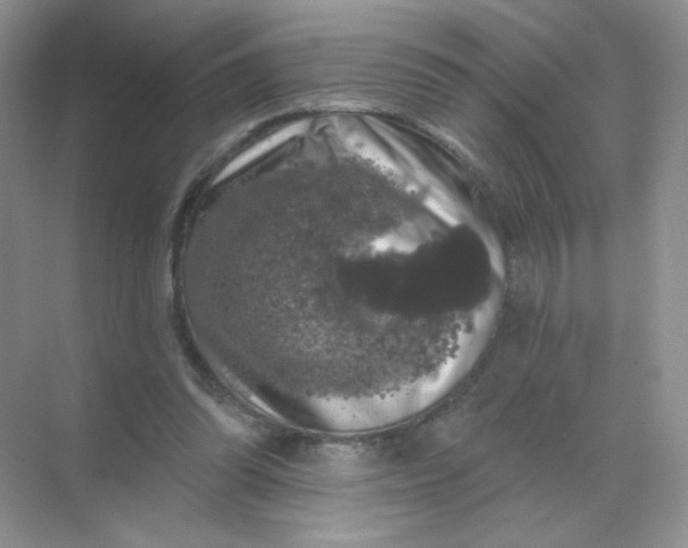 X0000068890302200605192142