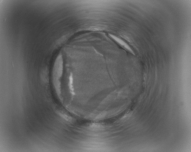 X0000068890303200605192142