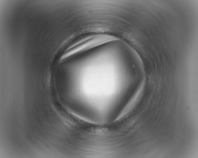 X0000068890304200605192142