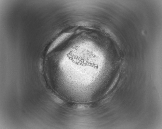 X0000068890305200605192142