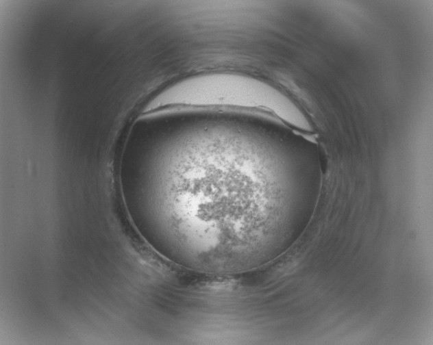 X0000068890306200605192142