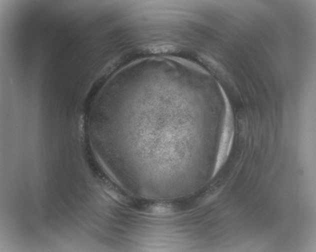 X0000068890308200605192142