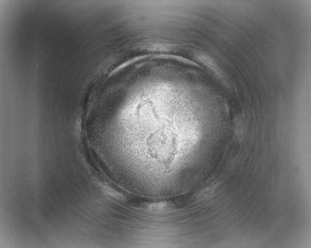 X0000068890309200605192142