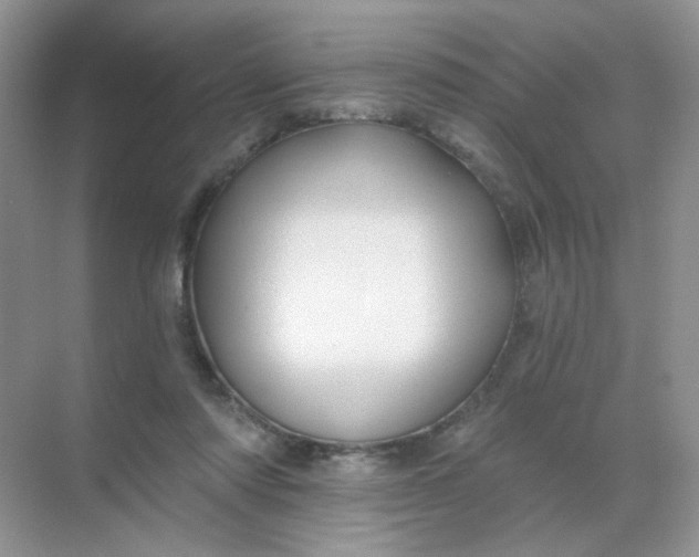 X0000068890310200605192142