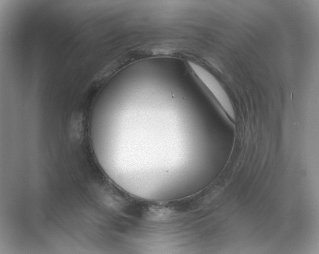 X0000068890311200605192142