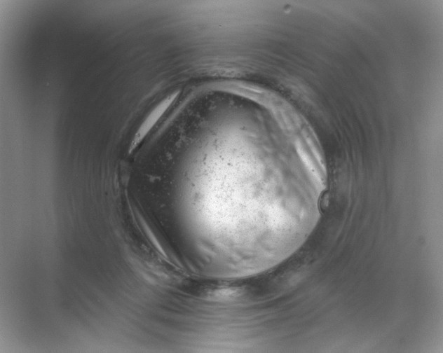 X0000068890312200605192142