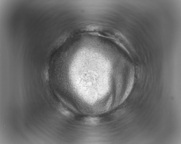 X0000068890313200605192142