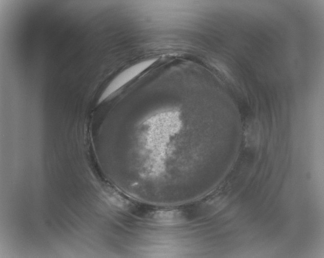 X0000068890314200605192142