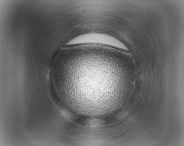 X0000068890315200605192142