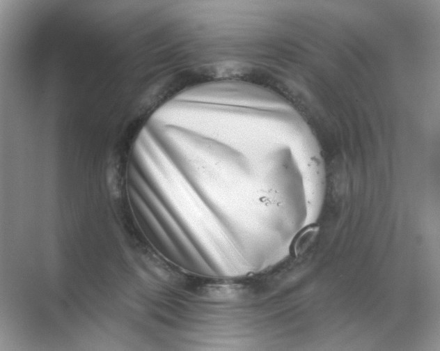 X0000068890316200605192142