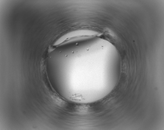 X0000068890318200605192142