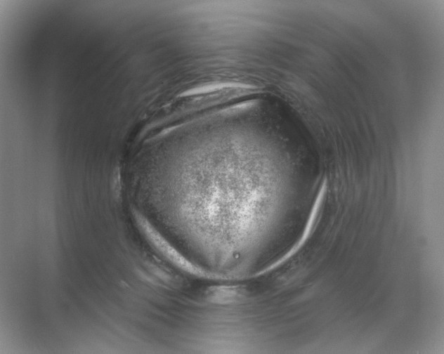 X0000068890320200605192142