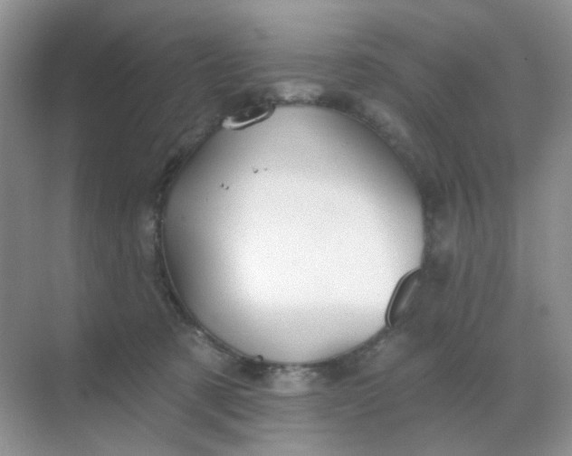 X0000068890321200605192142