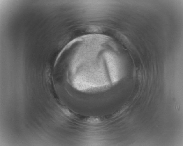 X0000068890322200605192141