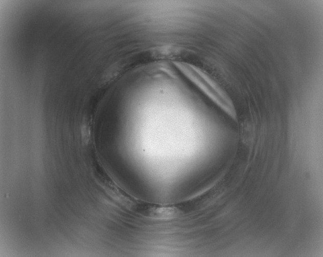 X0000068890324200605192141