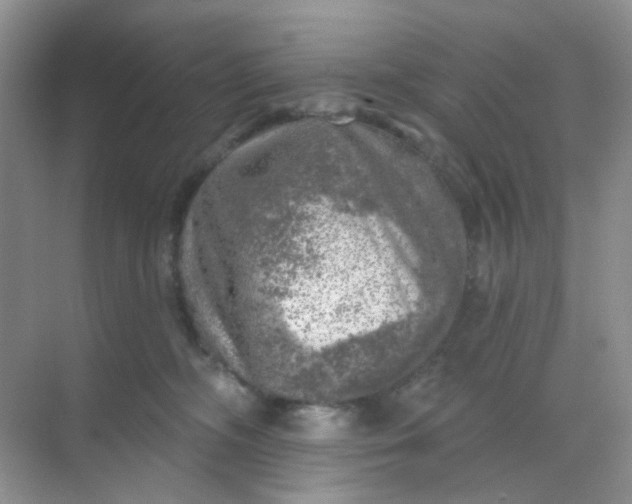 X0000068890326200605192141