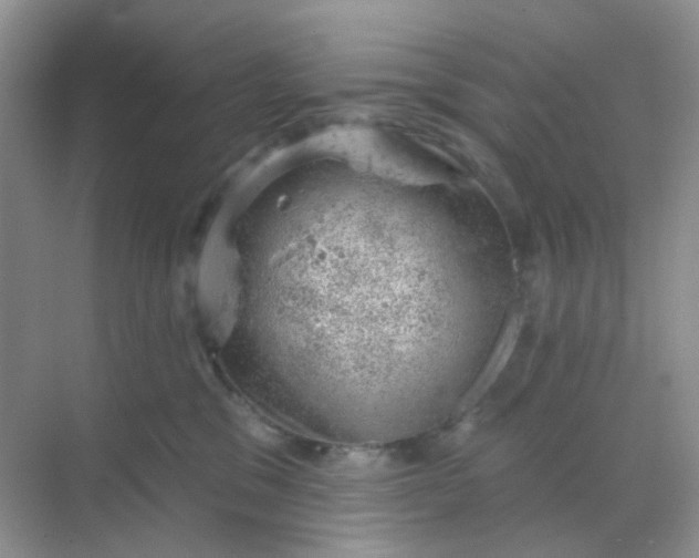 X0000068890329200605192141