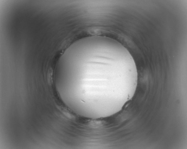 X0000068890332200605192141