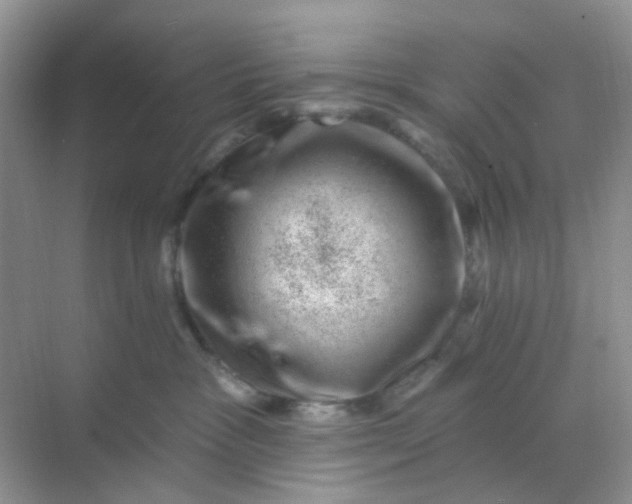 X0000068890333200605192141