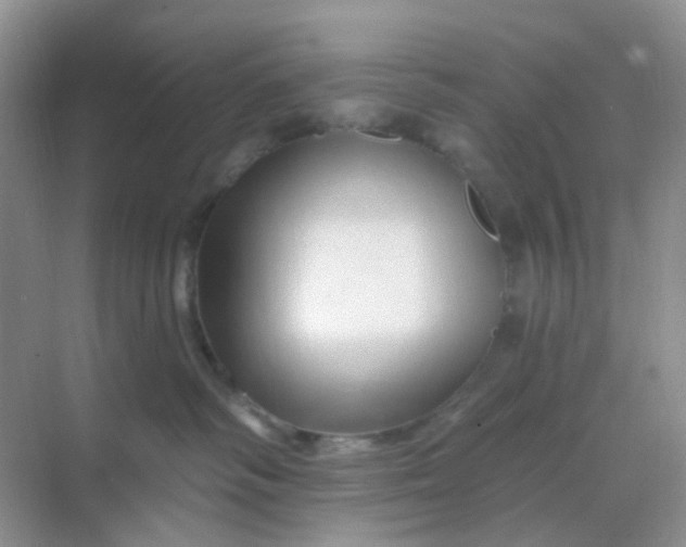 X0000068890334200605192141