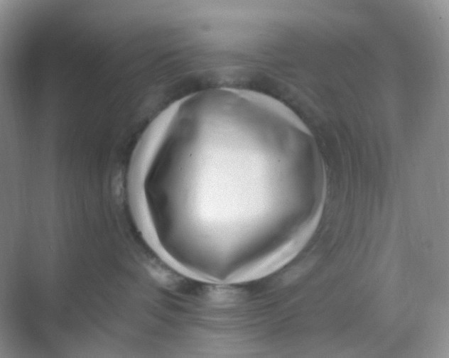 X0000068890336200605192141