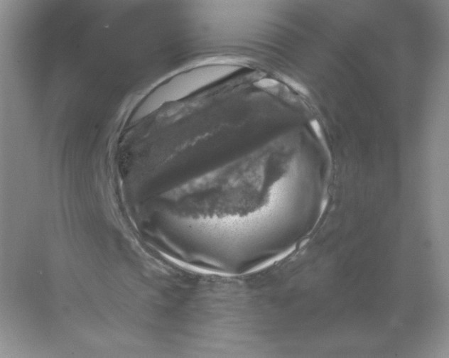 X0000068890337200605192140