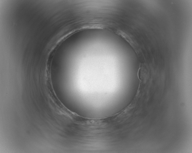 X0000068890338200605192140