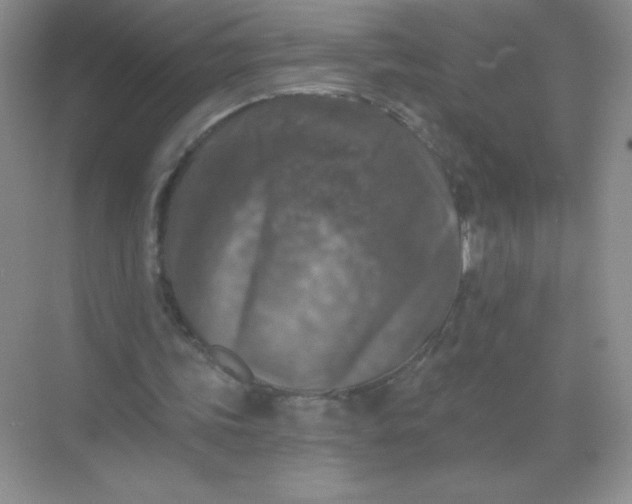 X0000068890339200605192140